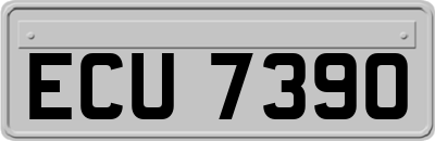ECU7390