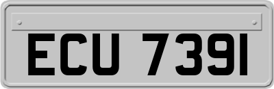 ECU7391