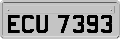 ECU7393