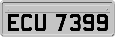 ECU7399