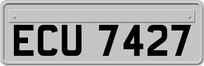 ECU7427