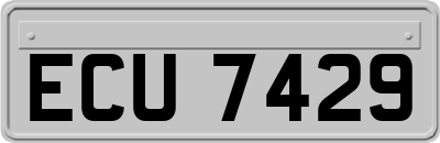 ECU7429