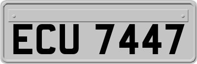ECU7447