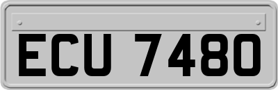 ECU7480