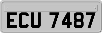 ECU7487