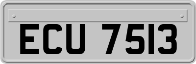 ECU7513