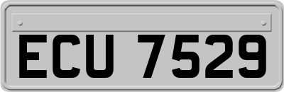 ECU7529