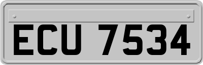 ECU7534