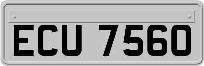 ECU7560