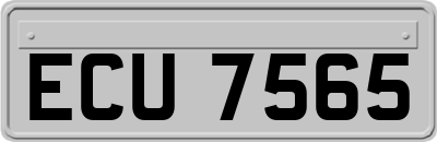 ECU7565