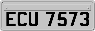 ECU7573