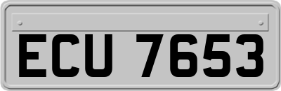 ECU7653