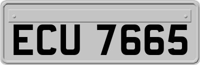 ECU7665