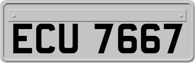 ECU7667