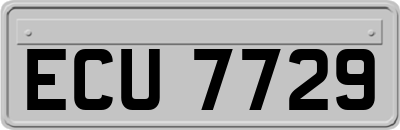 ECU7729
