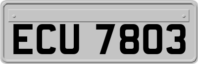 ECU7803