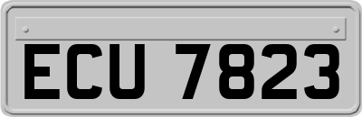 ECU7823