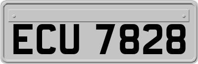 ECU7828