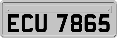 ECU7865