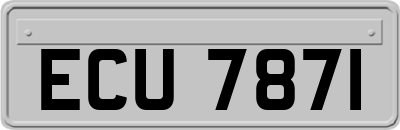 ECU7871