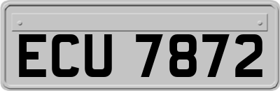 ECU7872