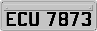 ECU7873