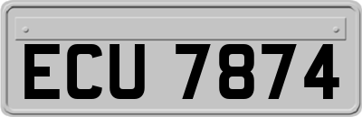 ECU7874