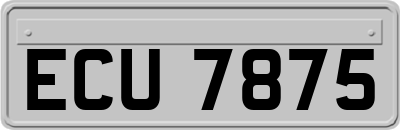 ECU7875