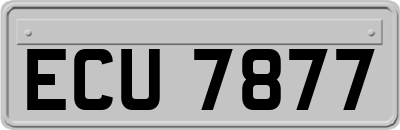 ECU7877
