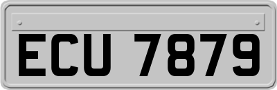ECU7879