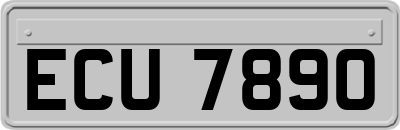 ECU7890