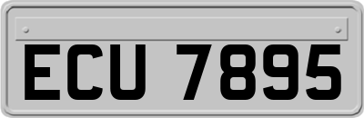 ECU7895