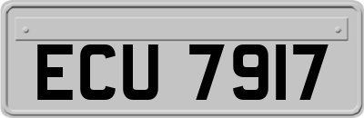 ECU7917