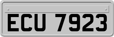 ECU7923