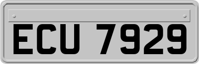 ECU7929