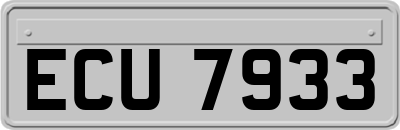 ECU7933