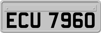 ECU7960