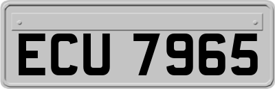ECU7965