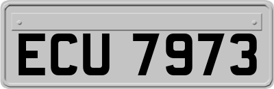 ECU7973