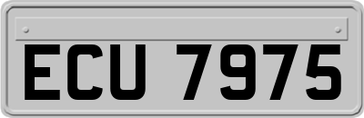 ECU7975