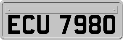 ECU7980