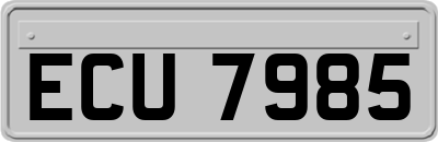 ECU7985