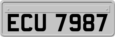 ECU7987