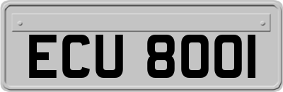 ECU8001