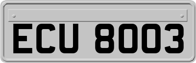 ECU8003