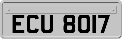 ECU8017