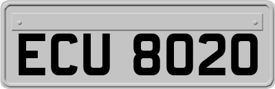 ECU8020