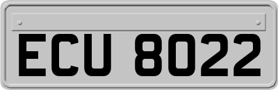 ECU8022