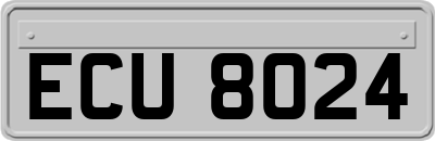 ECU8024