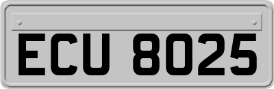 ECU8025